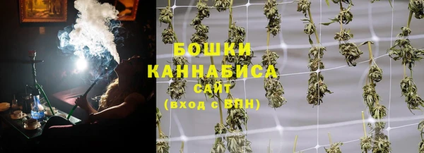 наркотики Бородино