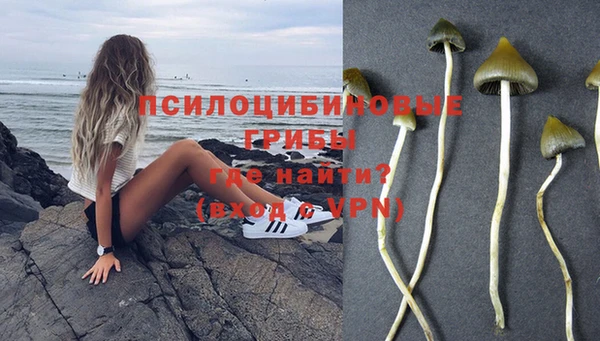 наркотики Бородино