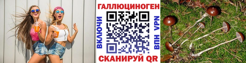 Псилоцибиновые грибы прущие грибы  продажа наркотиков  Щёлково 